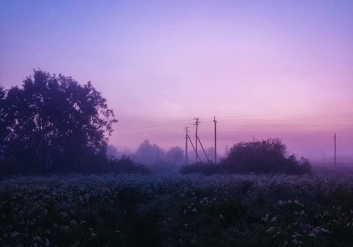 奇异果登录入口-​横滨水手亚冠横扫全北晋级 俱乐部奖赏主帅新约